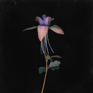 嗯⋯啊⋯用力撞入体内女图片
